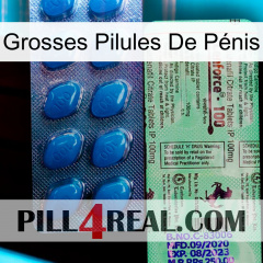 Grosses Pilules De Pénis new02
